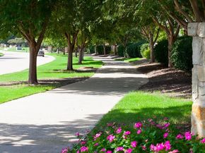 808  Creekline Way , McKinney Texas 75072