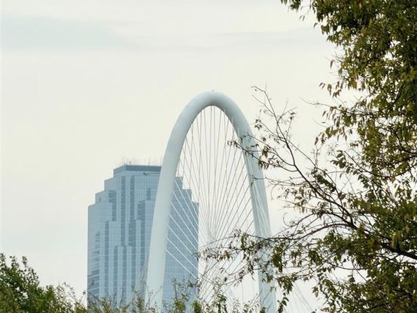 3119  Parvia Avenue , Dallas Texas 75212