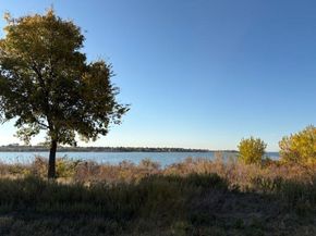 1175  Harbor Springs Drive , Frisco Texas 75036