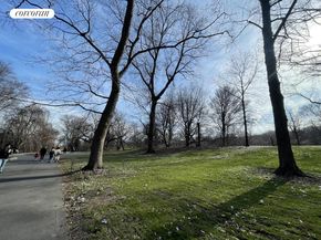 35 Crown Street 3C, Brooklyn NY 11225