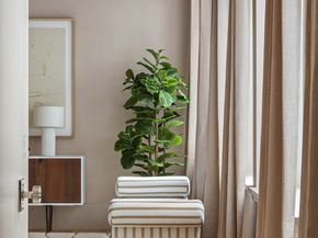 260 West Broadway 4C, New York NY 10013