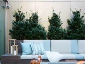 305 East 51st Street 5A, New York NY 10022