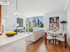 425 Main Street 5D, New York NY 10044