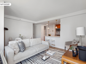 425 Main Street 5D, New York NY 10044