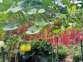 4301 S Alton Place, Greenwood Village CO 80111