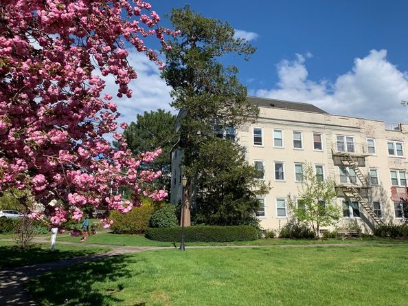 102 Summer Street 2A, Stamford CT 06840