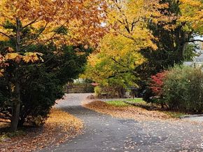 55 Merriman Road, Stamford CT 06905