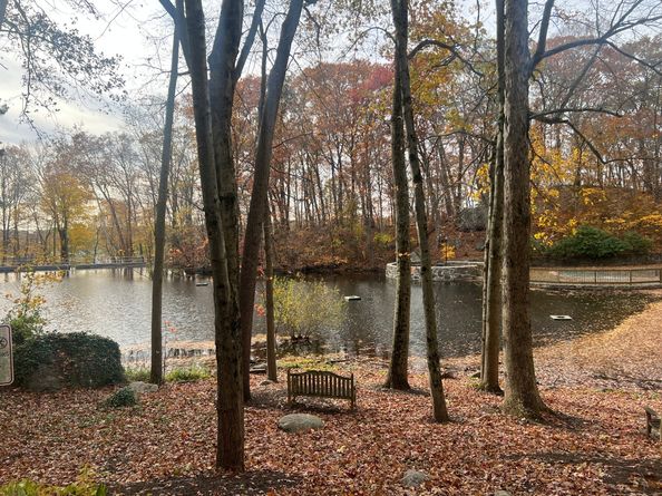 50 Aiken Street 312, Norwalk CT 06851