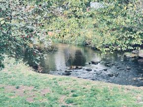 97 Richards Avenue APT E12, Norwalk CT 06854