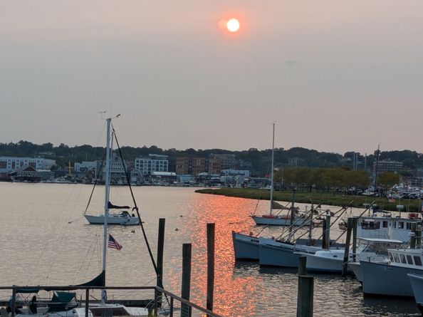 26 Cove Avenue 2D, Norwalk CT 06855