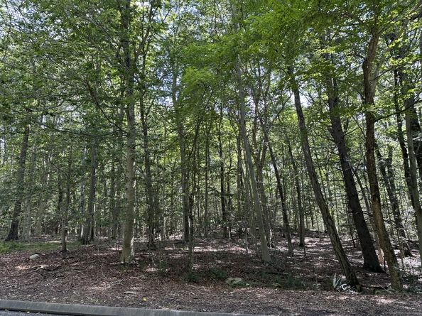 21A South Brook Drive, Stamford CT 06903