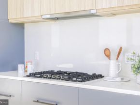 255 W. Falls Station Boulevard PH2, Falls Church VA 22046