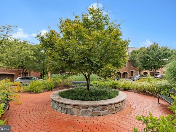 4531 Westhall Drive NW, Washington DC 20007