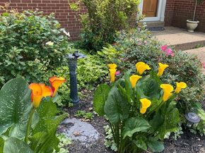 5515 Bradley Boulevard, Alexandria VA 22311