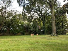 5515 Bradley Boulevard, Alexandria VA 22311