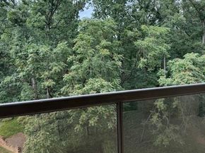 205 Yoakum Parkway 626, Alexandria VA 22304