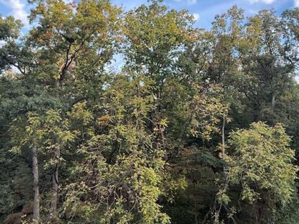 205 Yoakum Parkway 626, Alexandria VA 22304