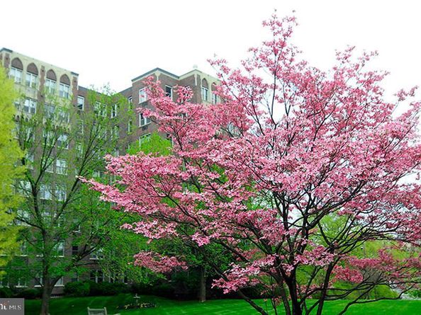 4000 Cathedral Avenue NW 208B, Washington DC 20016