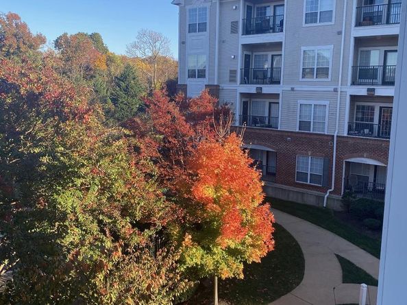 4852 Eisenhower Avenue 337, Alexandria VA 22304