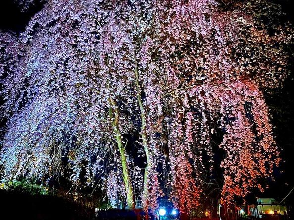 419 W School House Lane, Philadelphia PA 19144