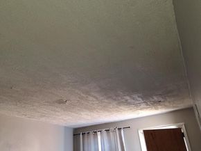 919 Sharon Avenue, Sharon Hill PA 19079