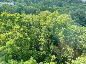 4601 N Park Avenue 1509J, Chevy Chase MD 20815