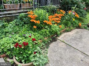 1413 June Lane, Penn Valley PA 19072