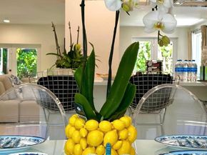 539 NE 25th St, Wilton Manors FL 33305
