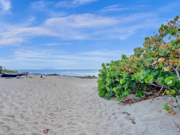 800 SE 20th Ave 915, Deerfield Beach FL 33441