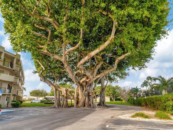 555 Banyan Tree Lane 302, Delray Beach FL 33483