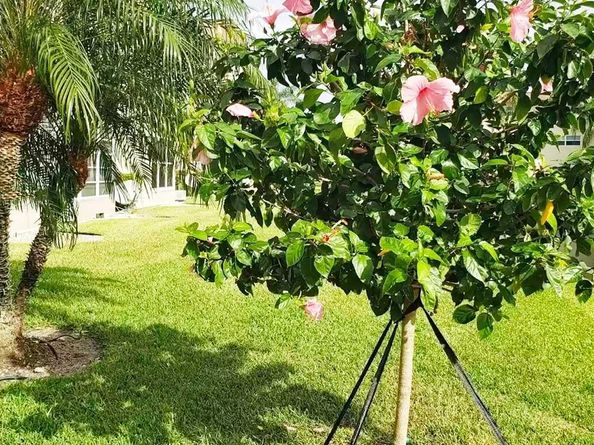 3400 NW 48th Avenue 512, Lauderdale Lakes FL 33319