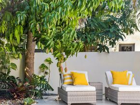 5236 Pine Tree Drive, Miami Beach FL 33140