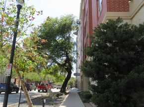 300 St Joseph Parkway 311, Houston TX 77002