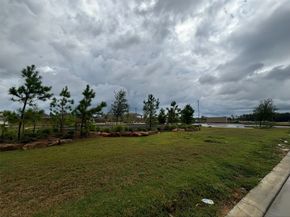 2622 Rain Quail Court, Conroe TX 77306