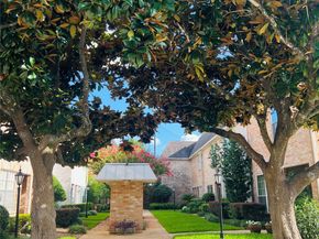 2226 S Piney Point Road 104, Houston TX 77063