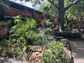3944 W Alabama Street 6, Houston TX 77027