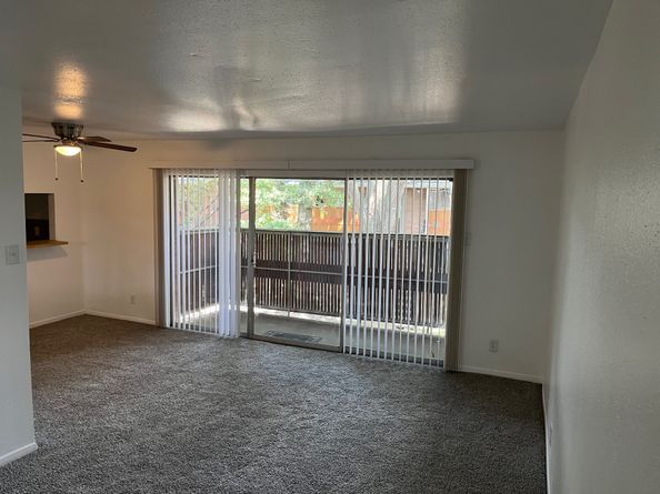 3944 W Alabama Street 6, Houston TX 77027