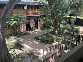 3944 W Alabama Street 6, Houston TX 77027