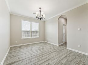 19803 Caitlyn Blossom Lane, Cypress TX 77433