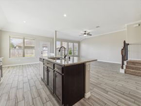 19803 Caitlyn Blossom Lane, Cypress TX 77433