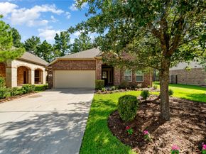 38 Tallgrass Way, Spring TX 77389