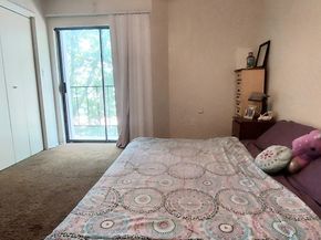 17202 Imperial Valley Drive, Houston TX 77060