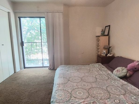 17202 Imperial Valley Drive, Houston TX 77060