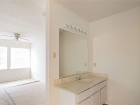 12123 Lemon Ridge Lane 121, Houston TX 77035
