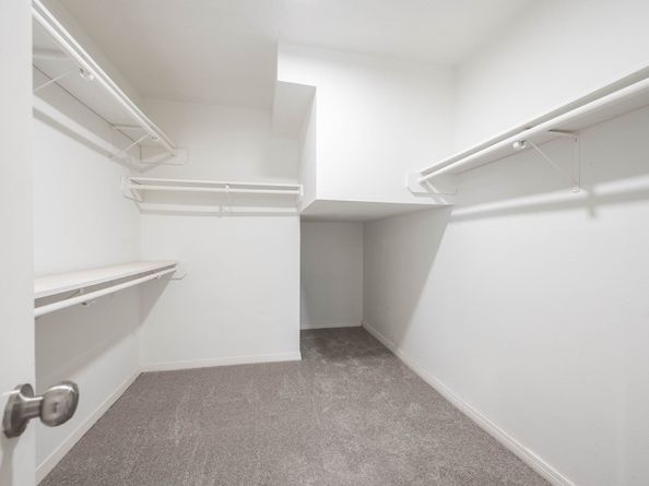 13502 Ravensway Drive, Cypress TX 77429