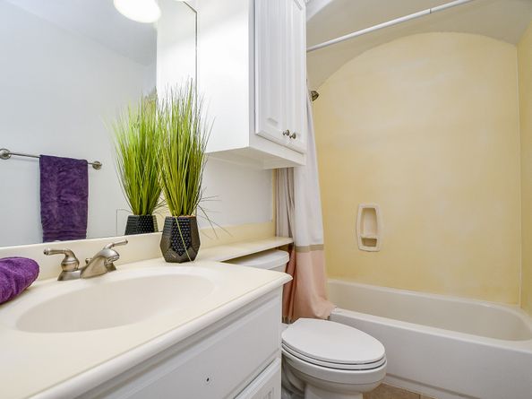 4212 Stonebridge Drive, Missouri City TX 77459