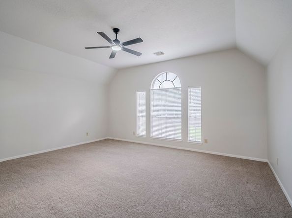 16102 Blue Mesa Ridge Drive, Friendswood TX 77546