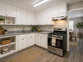 1539 Pleasantville Drive, Houston TX 77029