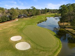 14 Wakerobin Court, The Woodlands TX 77380