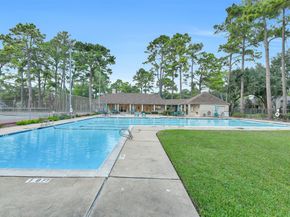 3919 Badger Forest Drive, Houston TX 77088